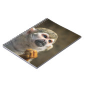 Carnet Singe intense (Côté gauche)