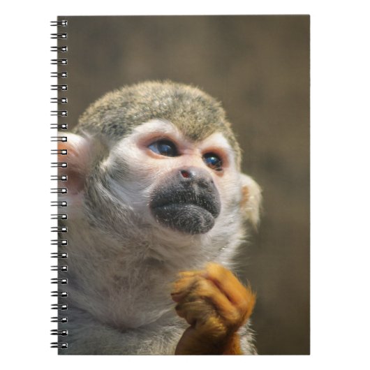Carnet Singe intense (Devant)