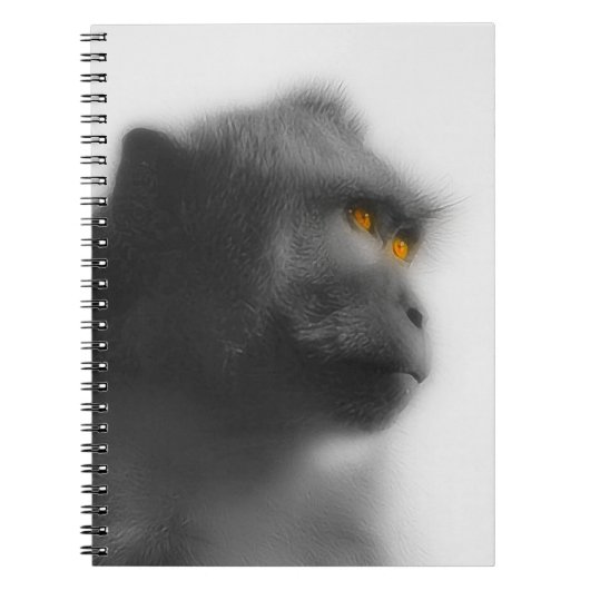 Carnet Singe songeur (Devant)