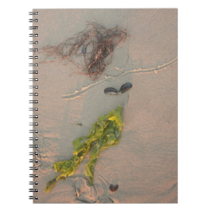 Carnet Sirène