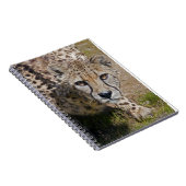 Carnet Sita (Côté Droit)