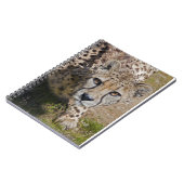 Carnet Sita (Côté gauche)