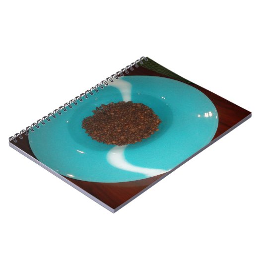 Carnet Skeezer bleu (Côté gauche)