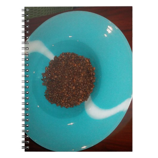 Carnet Skeezer bleu (Devant)