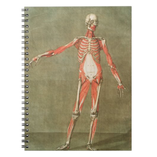 CARNET SKELETON ANATOMY BONNES CORPS GRAVE MUSCLE ANATOMI (Devant)