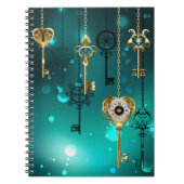 Carnet Skeleton Keys on Green Background (Devant)