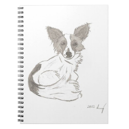 Carnet Sketch Papillons (Devant)
