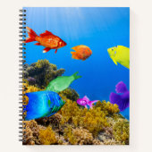Carnet SlipperyJoe's Fish Pride tropicale vert bleu pourp (Devant)