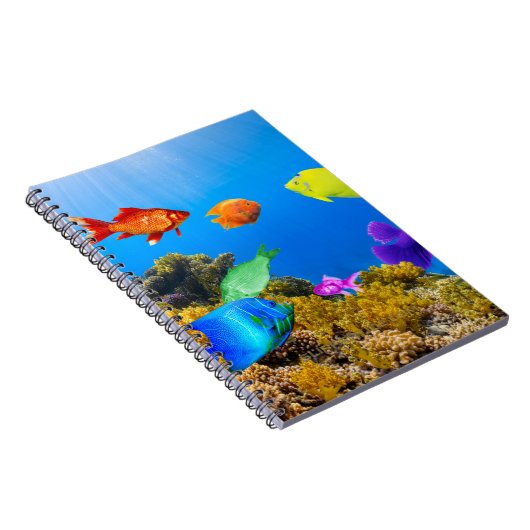 Carnet SlipperyJoe's Fish Pride tropicale vert bleu pourp (Côté Droit)