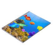 Carnet SlipperyJoe's Fish Pride tropicale vert bleu pourp (Côté gauche)