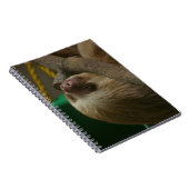 Carnet Sloth (Côté Droit)