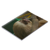 Carnet Sloth (Côté gauche)