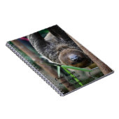 Carnet Sloth Hanging Out Edinburgh Zoo Card (Côté Droit)