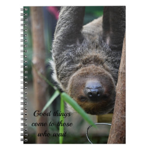 Carnet Sloth Hanging Out Edinburgh Zoo Card