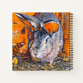 Carnet smartmix animal- lapin (Dos)