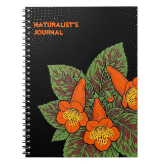 Carnet Smithiantha d'art populaire ‘Orange King’ en spira