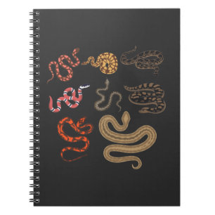 Carnet Snake Hunter Reptile Collector Animal Education