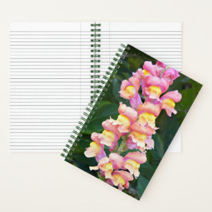 Carnet Snapdragon rose et jaune Floral