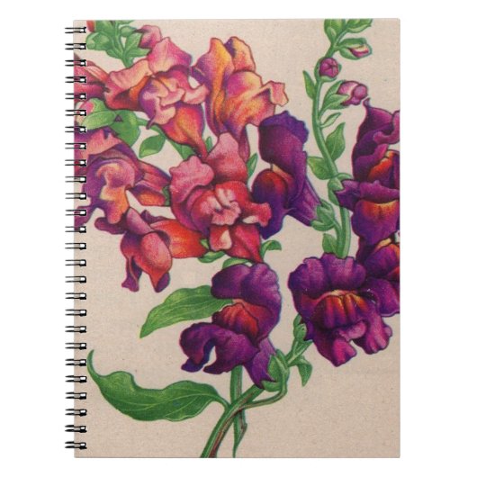 Carnet snapdragons (Devant)