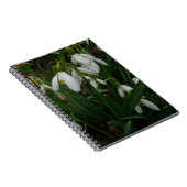 Carnet Snowdrops I (Côté Droit)