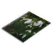 Carnet Snowdrops I (Côté gauche)