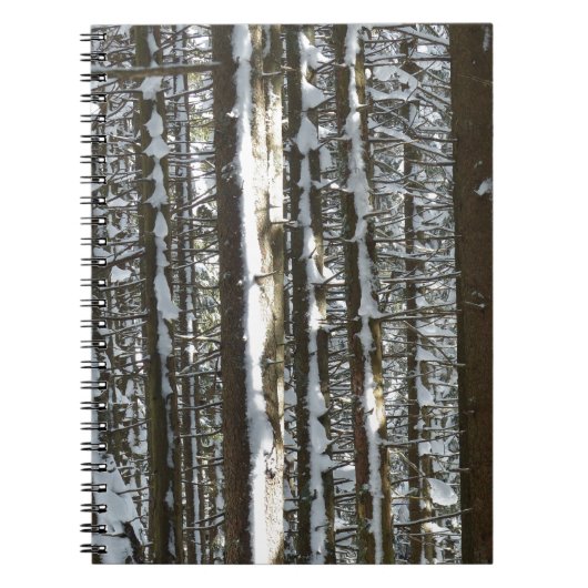 Carnet Snowy Fir Tree (Devant)