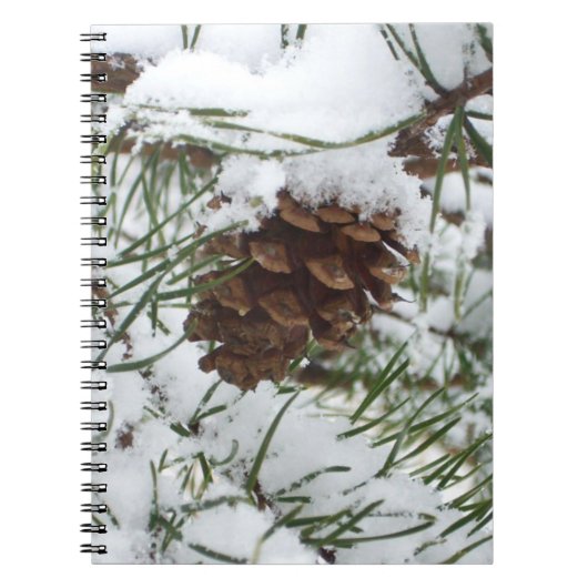 Carnet Snowy Pine Cone I (Devant)