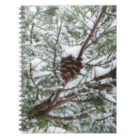 Snowy Pine Cône II hiver Photographie de la nature