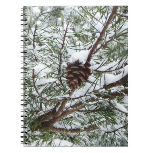 Carnet Snowy Pine Cône II hiver Photographie de la nature
