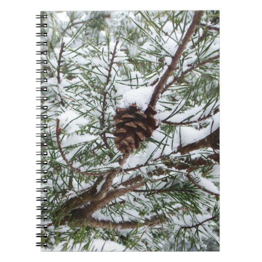 Carnet Snowy Pine Cône II hiver Photographie de la nature (Devant)