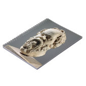 Carnet Socrates, tête de marbre, copie d'un bronze de (Côté gauche)