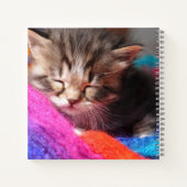 Carnet Soft Sleepy Newborn Kitten Phototgraph (Dos)