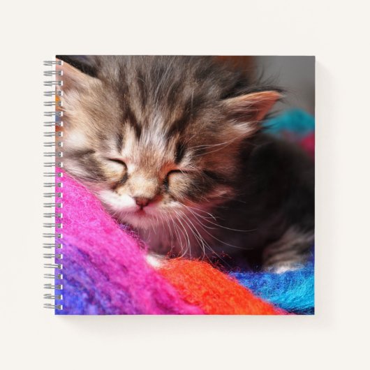 Carnet Soft Sleepy Newborn Kitten Phototgraph (Devant)