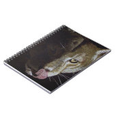 Carnet Soirée Cougar (Côté gauche)