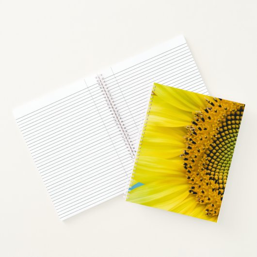 Carnet Soleil brillant (Intérieur)