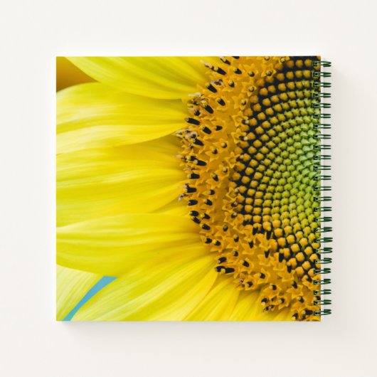 Carnet Soleil brillant (Dos)