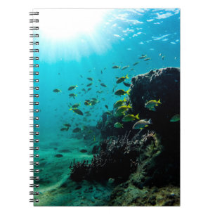 Carnet Soleil et poissons tropicaux