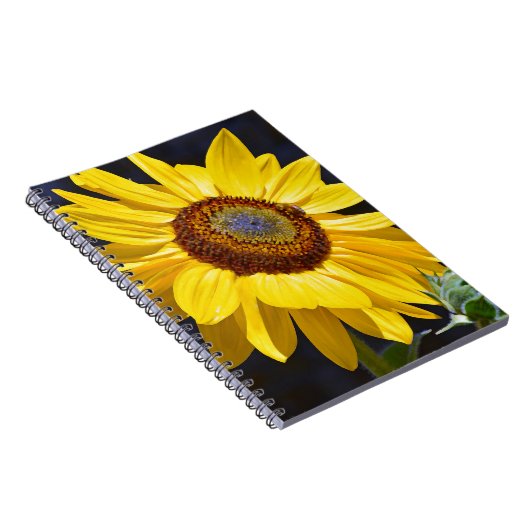 Carnet Solfette jaune (Côté Droit)