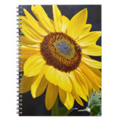 Carnet Solfette jaune (Devant)