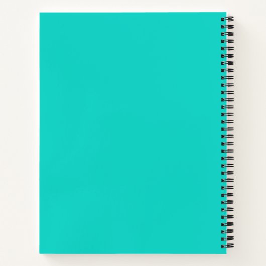 Carnet Solide clair turquoise (Dos)