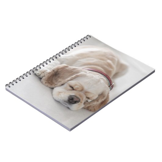 Carnet Sommeil de chien de cocker (Côté gauche)