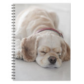 Carnet Sommeil de chien de cocker (Devant)