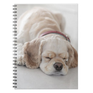 Carnet Sommeil de chien de cocker