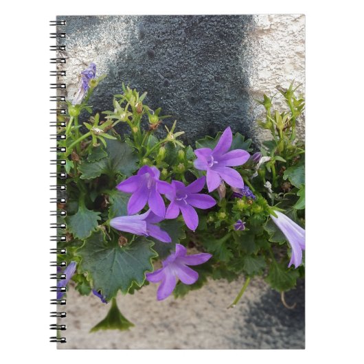 Carnet sortie de la fleur murale (Devant)