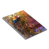 CARNET SORTIE DE LA FORÊT DE MACAT PARROT (Côté Droit)