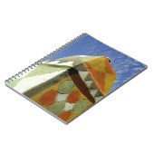 Carnet Soudan, Nord (Nubie), Toit décoré (Côté gauche)