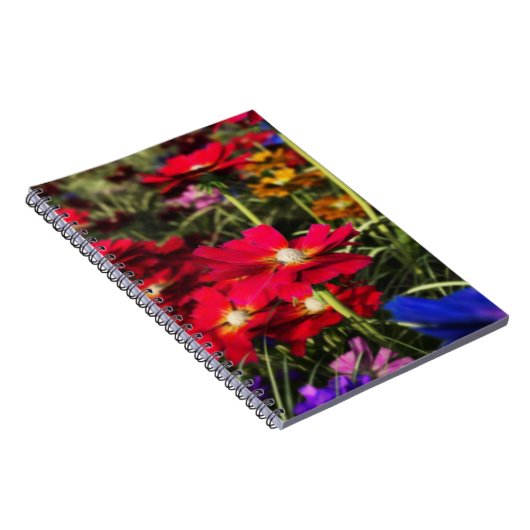 Carnet source Iridescente (Côté Droit)