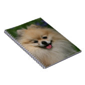 Carnet Sourire de Pomeranian (Côté Droit)