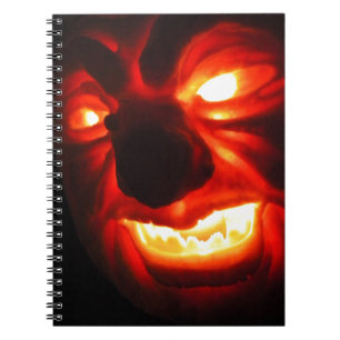 Carnet Sourire II