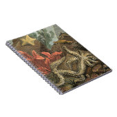 Carnet Sous la mer (Côté Droit)